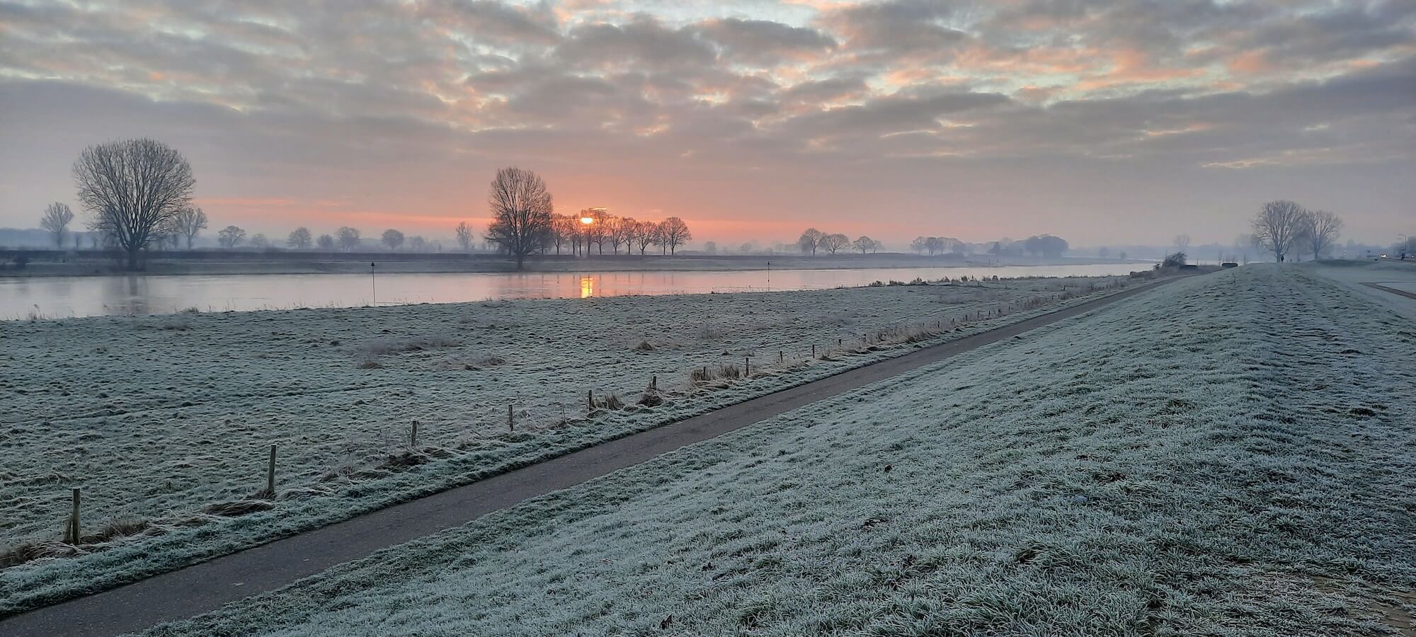 Angelina van Dreumel_rijp10januari2022-1