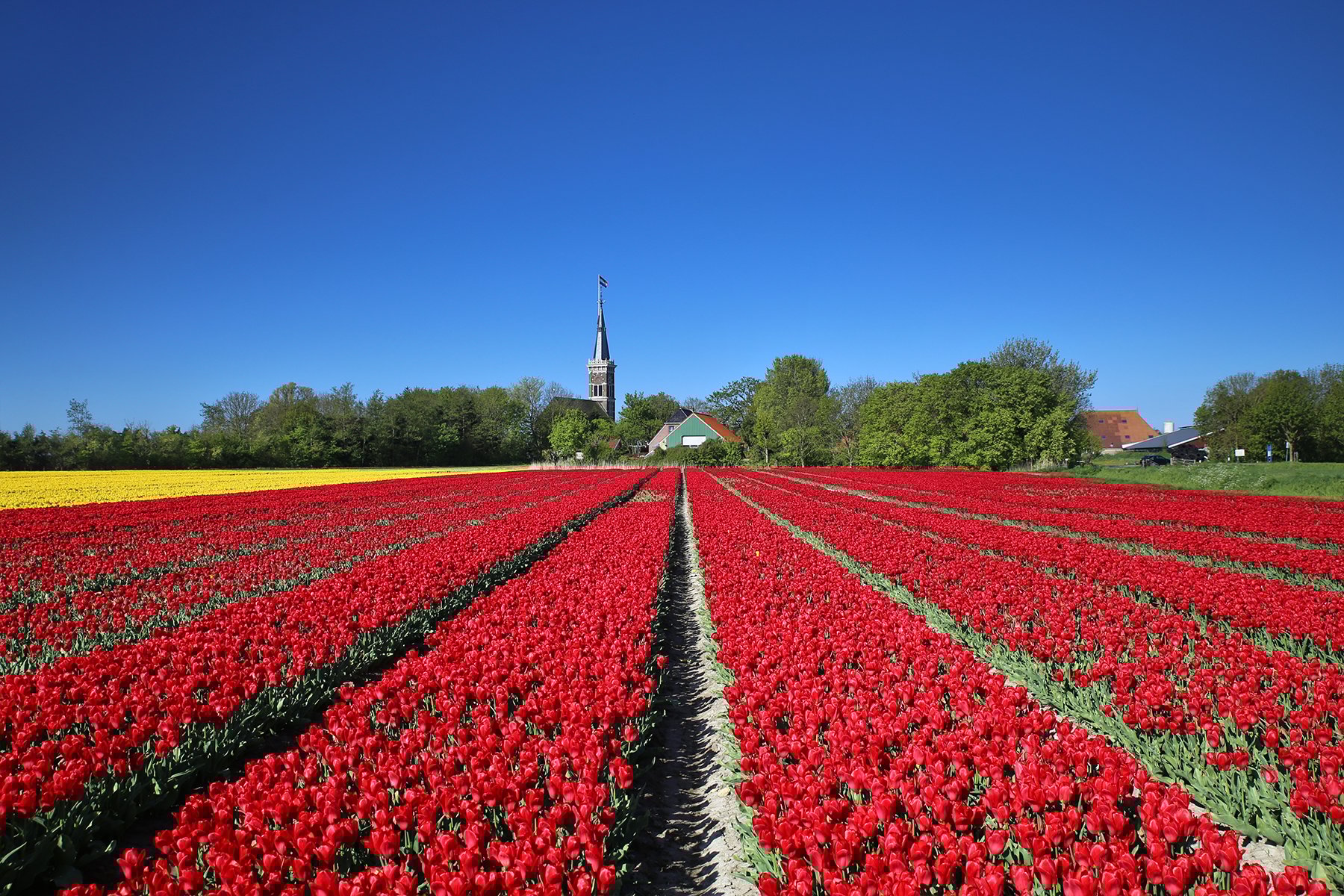 Anna Zuidema_bevrijdingsdag