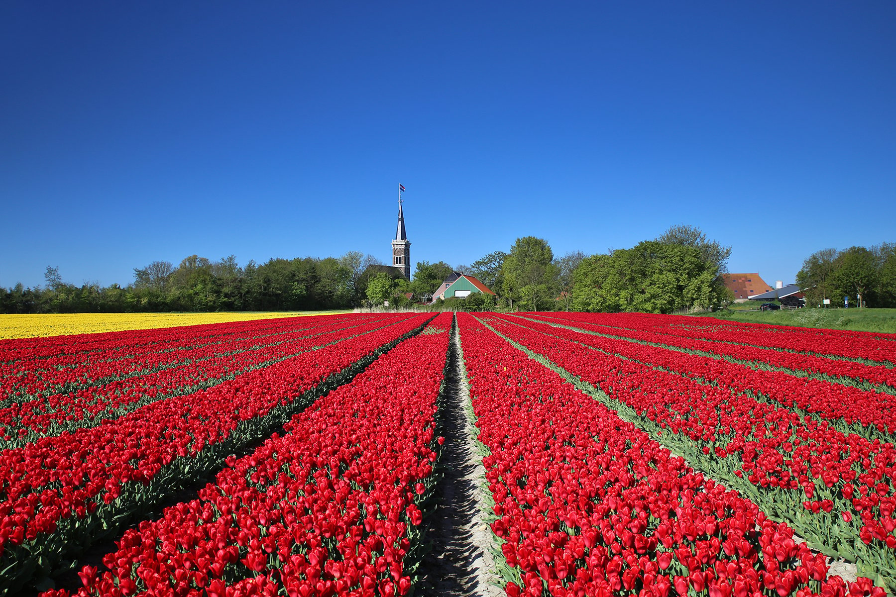 Anna Zuidema_bevrijdingsdag