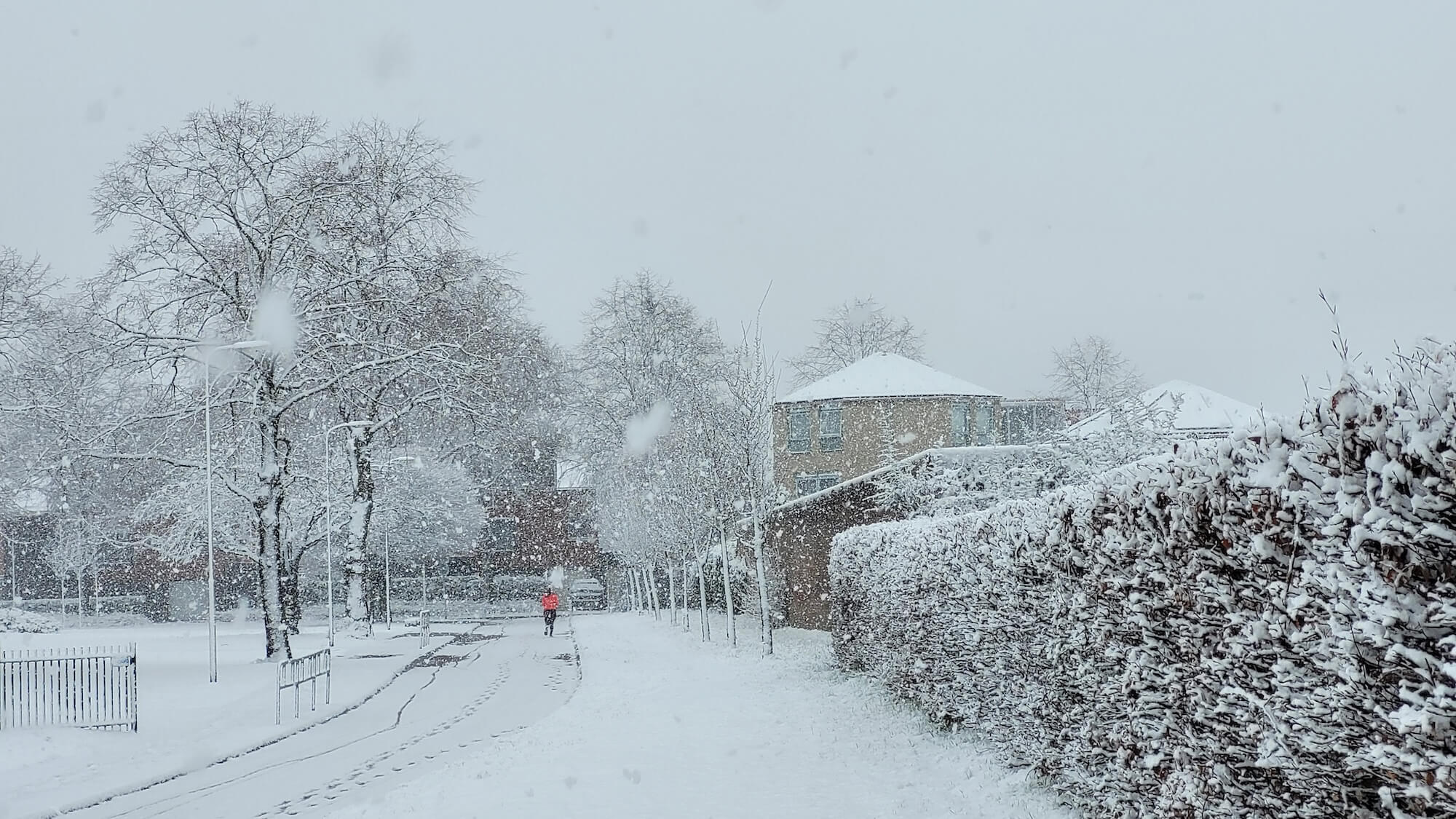 FrancienTaks_sneeuw8maart2023