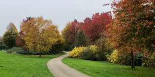 Grijze lucht in november 