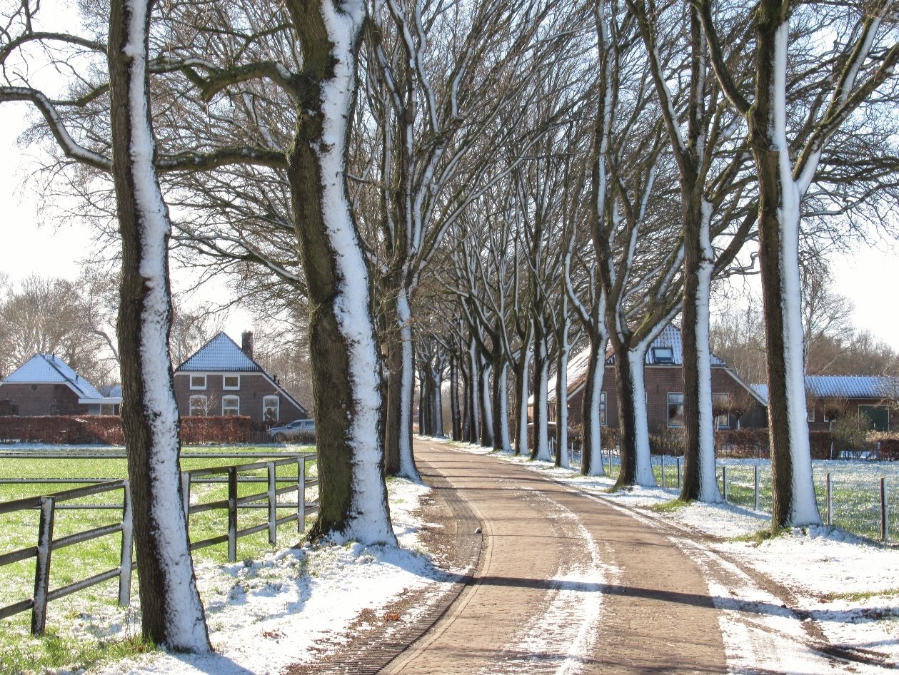 Hanneke van Doornik_11maart2023_sneeuw
