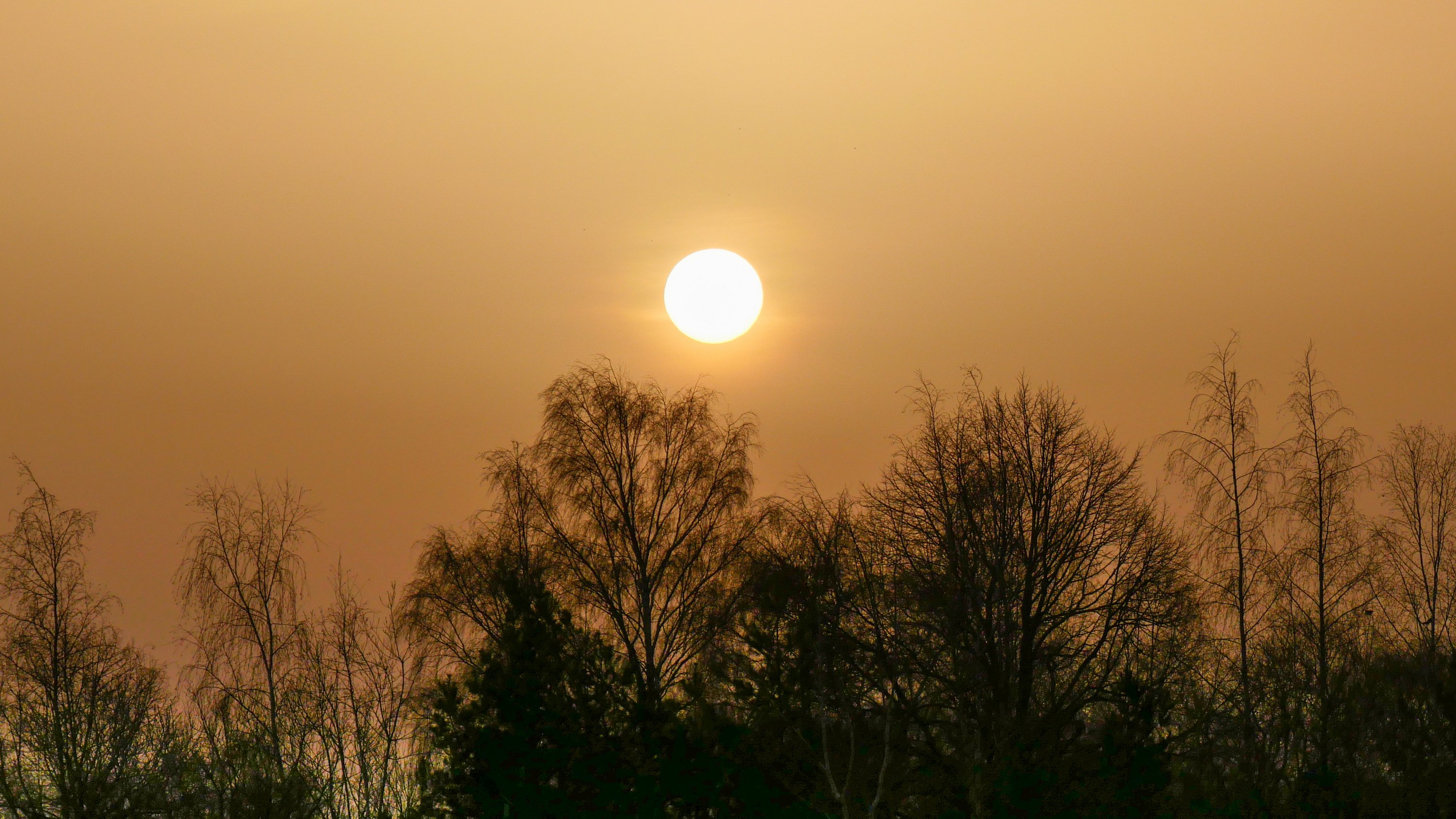 Jos Hebben_zonsopkomst_saharastof