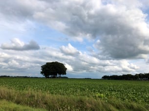 Zaterdag en zondag prachtige buienluchten. Foto: Lammie van Elp