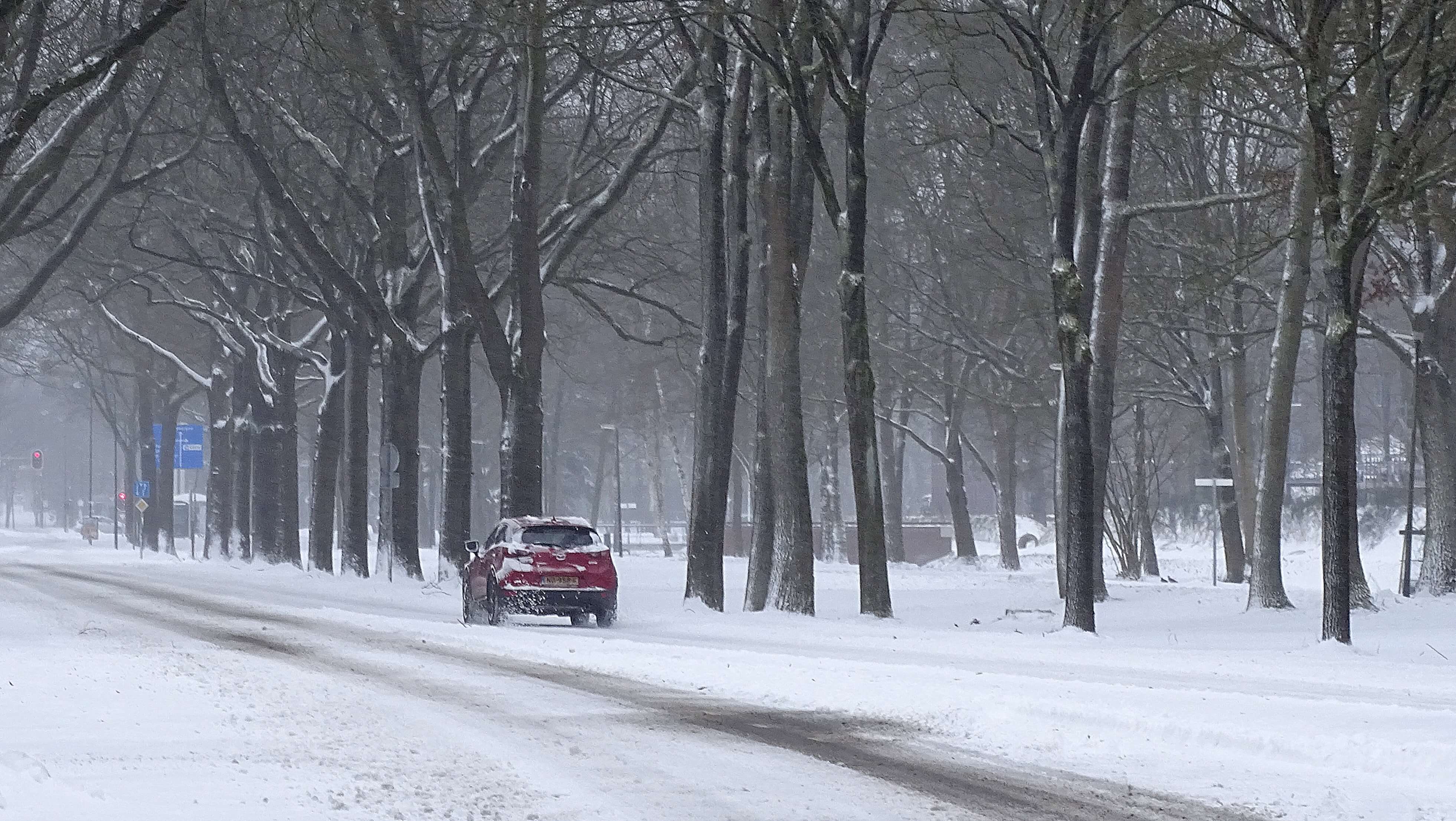 Martin Herms_sneeuw_februari2021