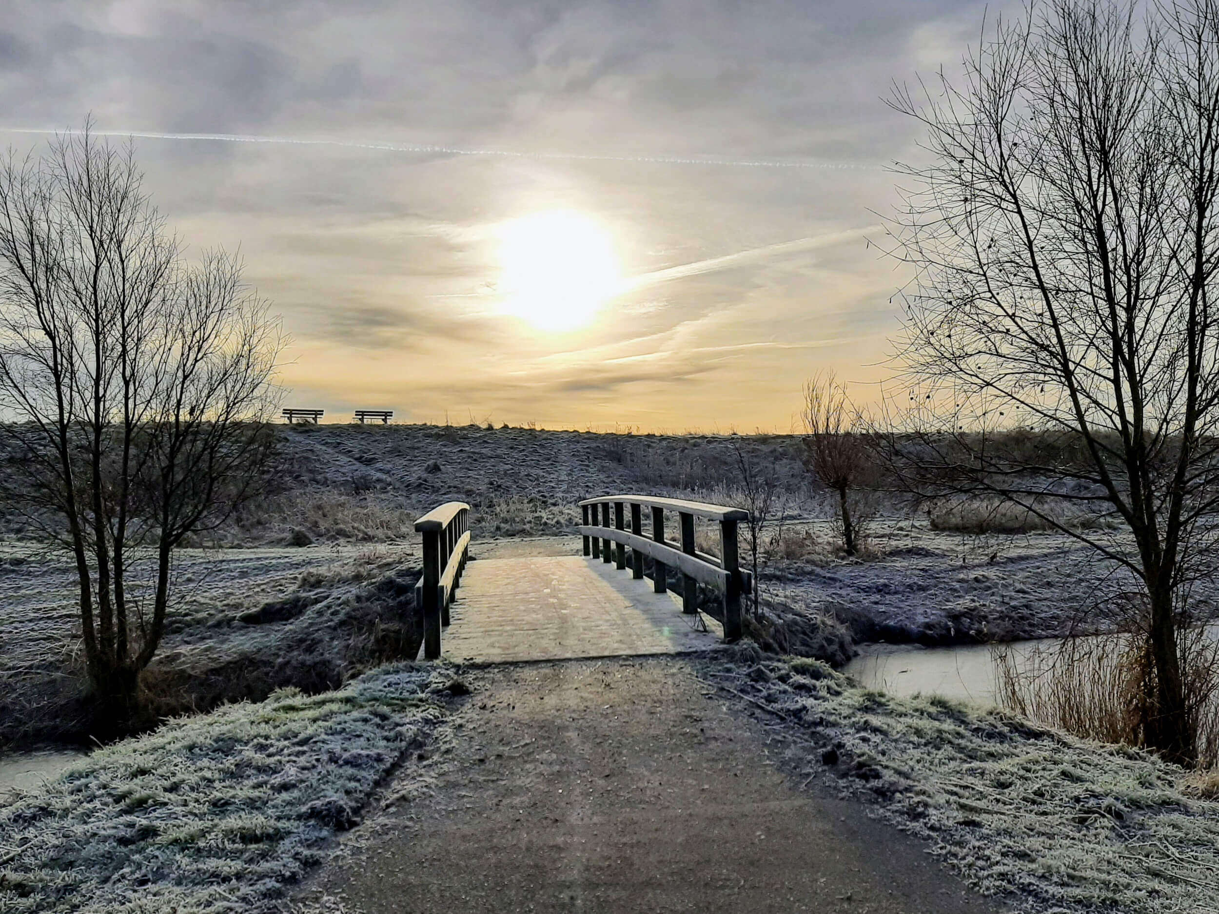 NelvanEs_DenHelder