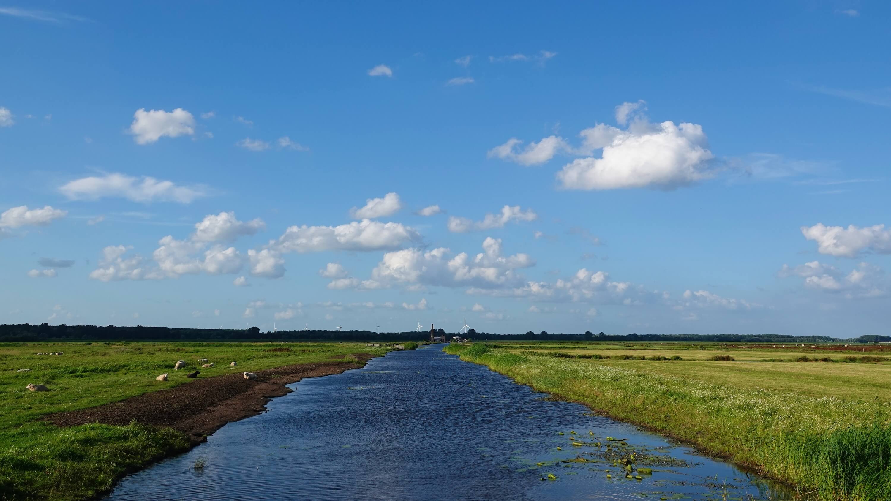 Regina Vastenhout_cumulus