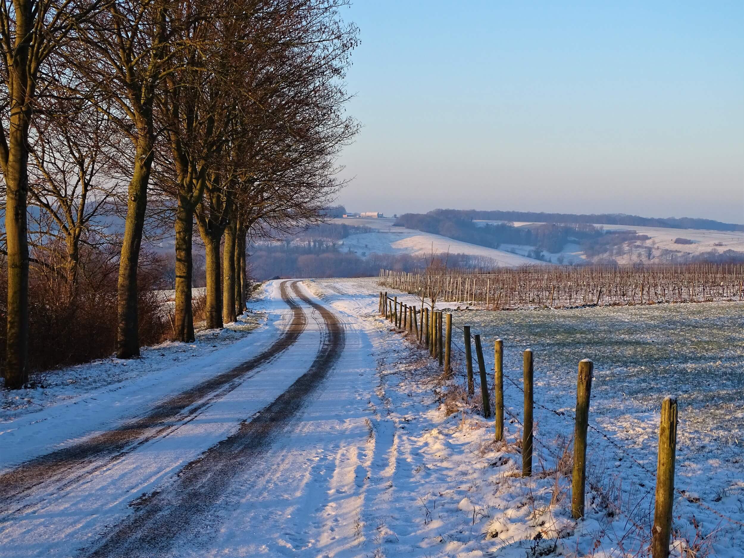 Sneeuwfoto met heuvels_Marjan den Boer