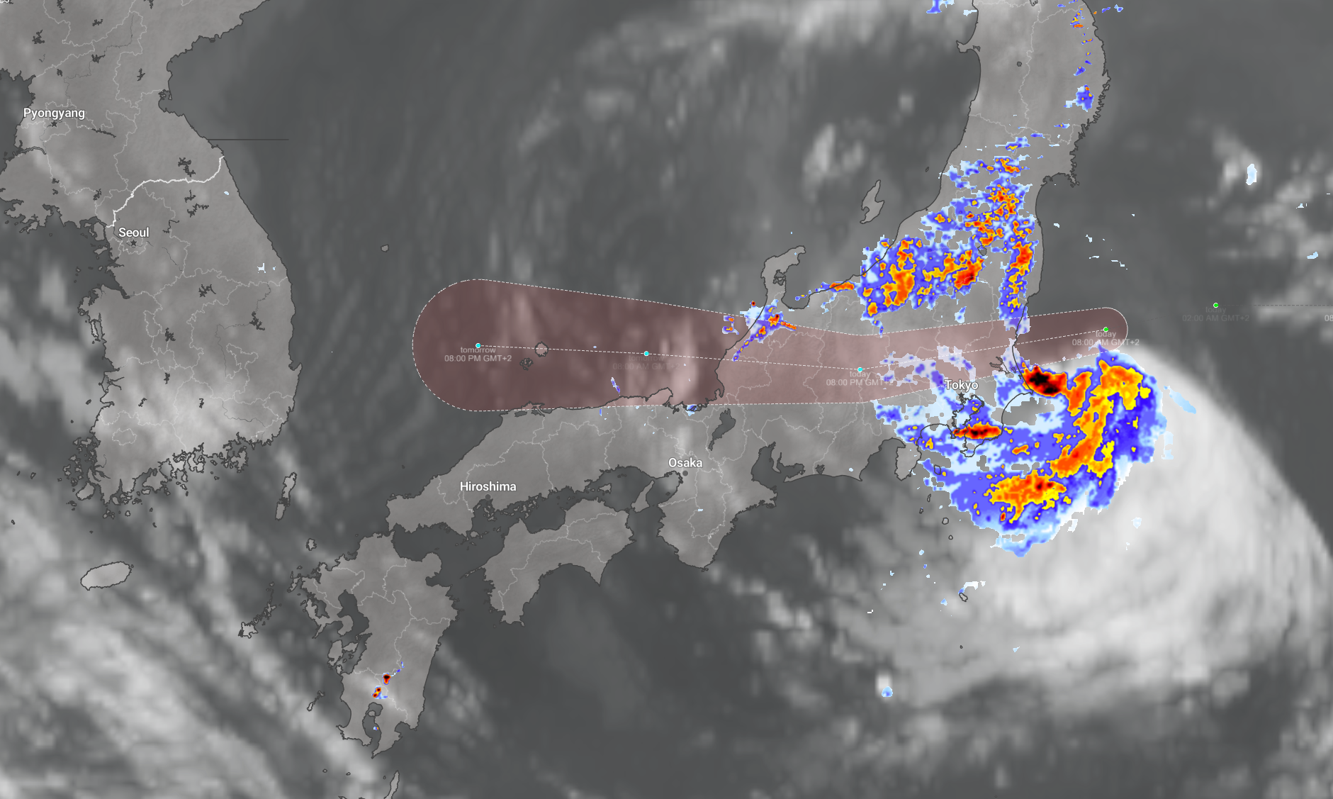 TS Chan-Hom Japan