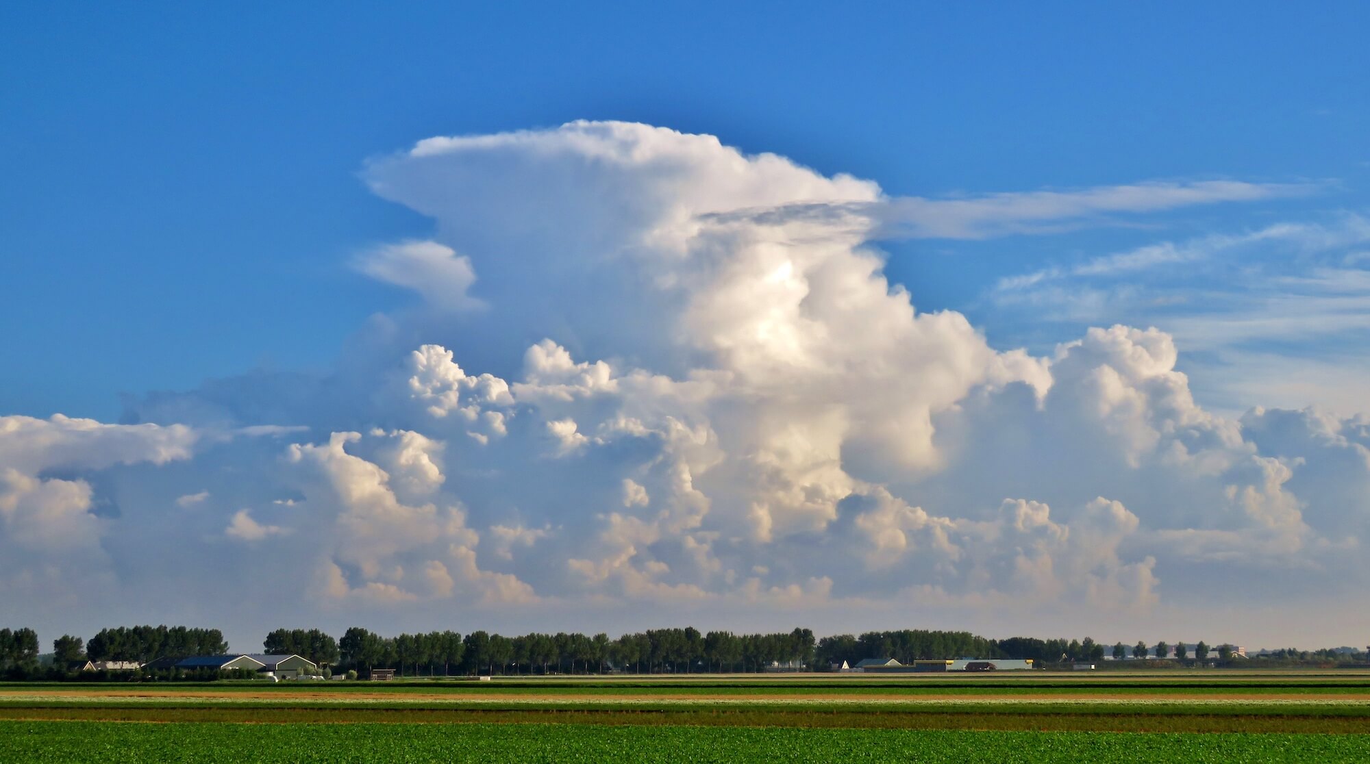 Ton Wesselius_aambeeld