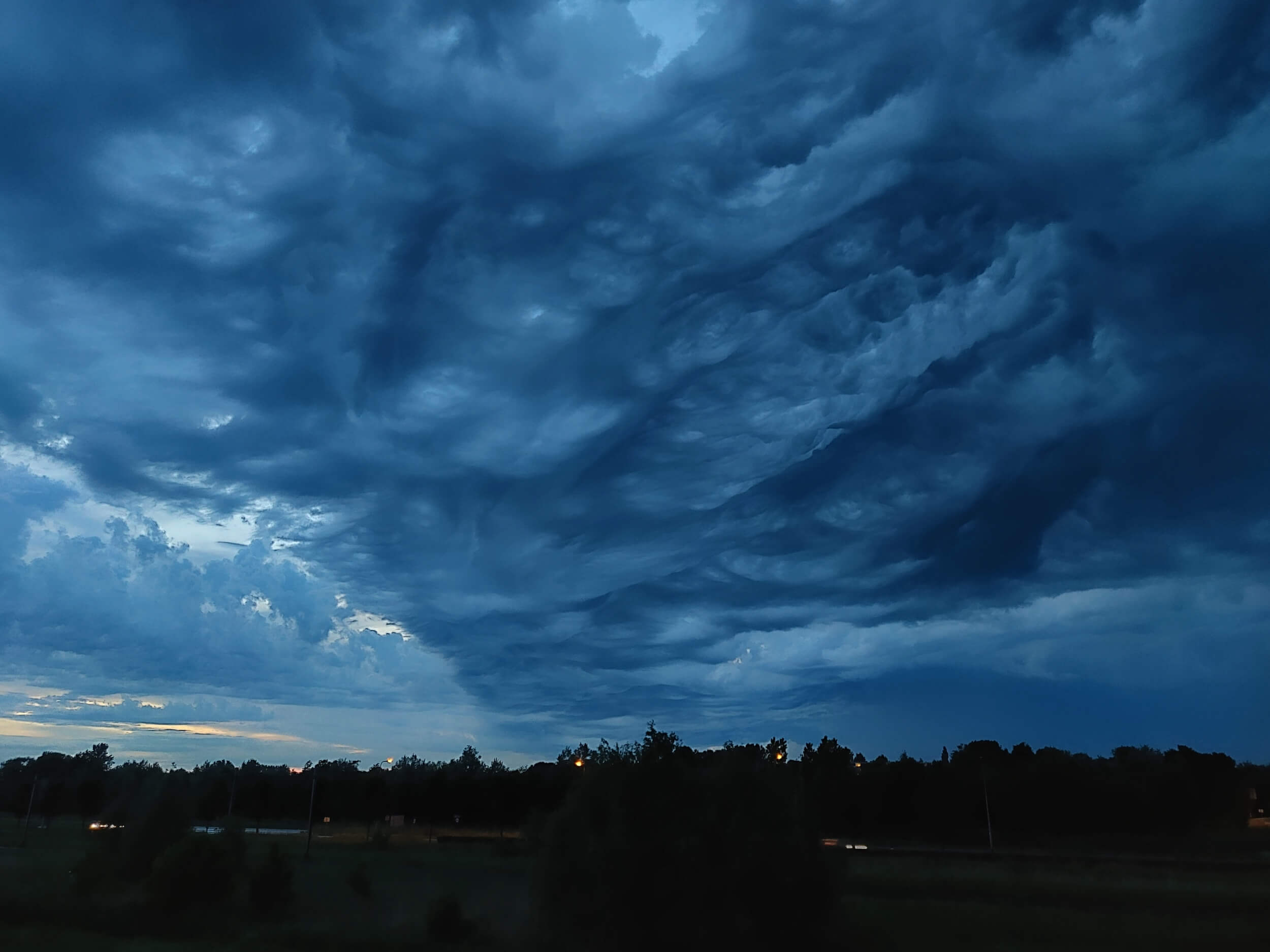 Undulatus_DraganaRoelofs