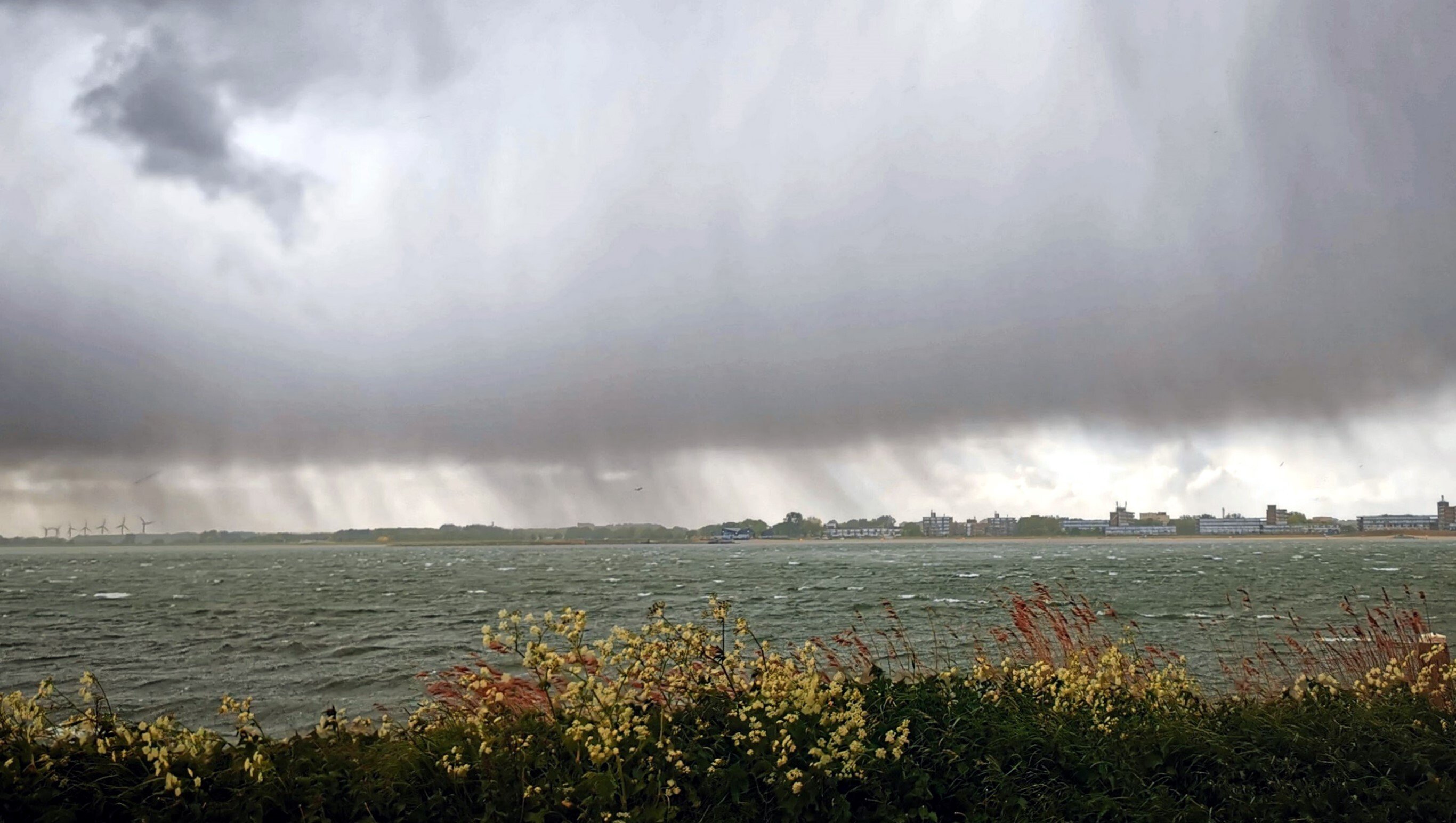 Valstrepen hagel Markermeer