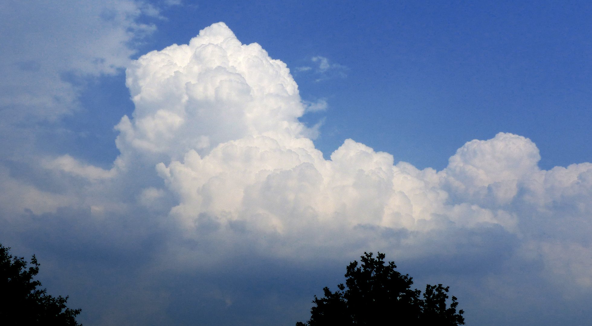 bloemkoolwolken_Gieny Westra