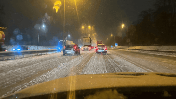 bvs_sneeuw