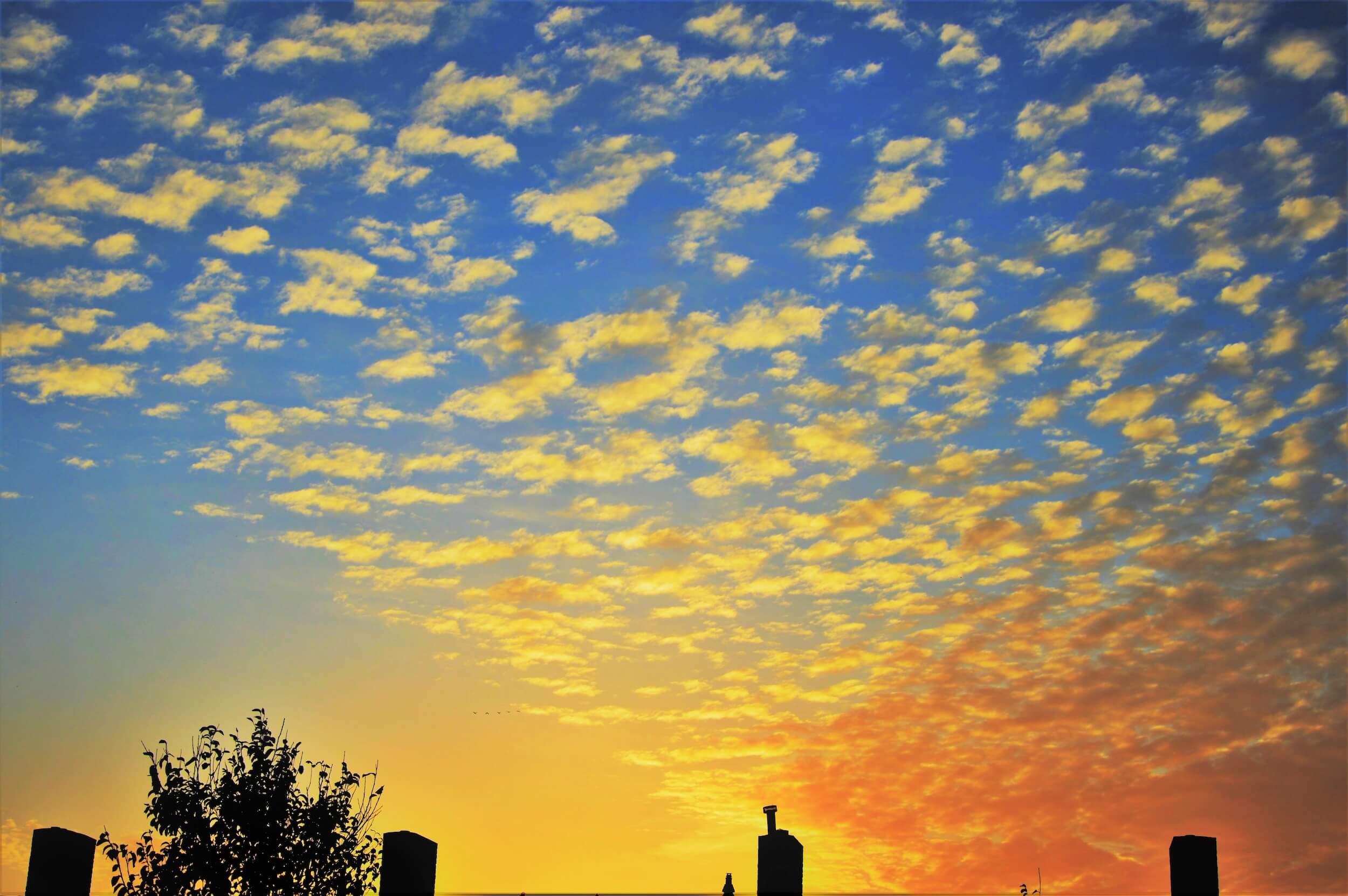 cirrocumulus_Henk Luntz