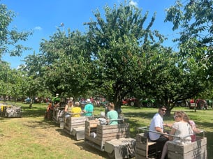 Kersenfestival Cothen 2023
