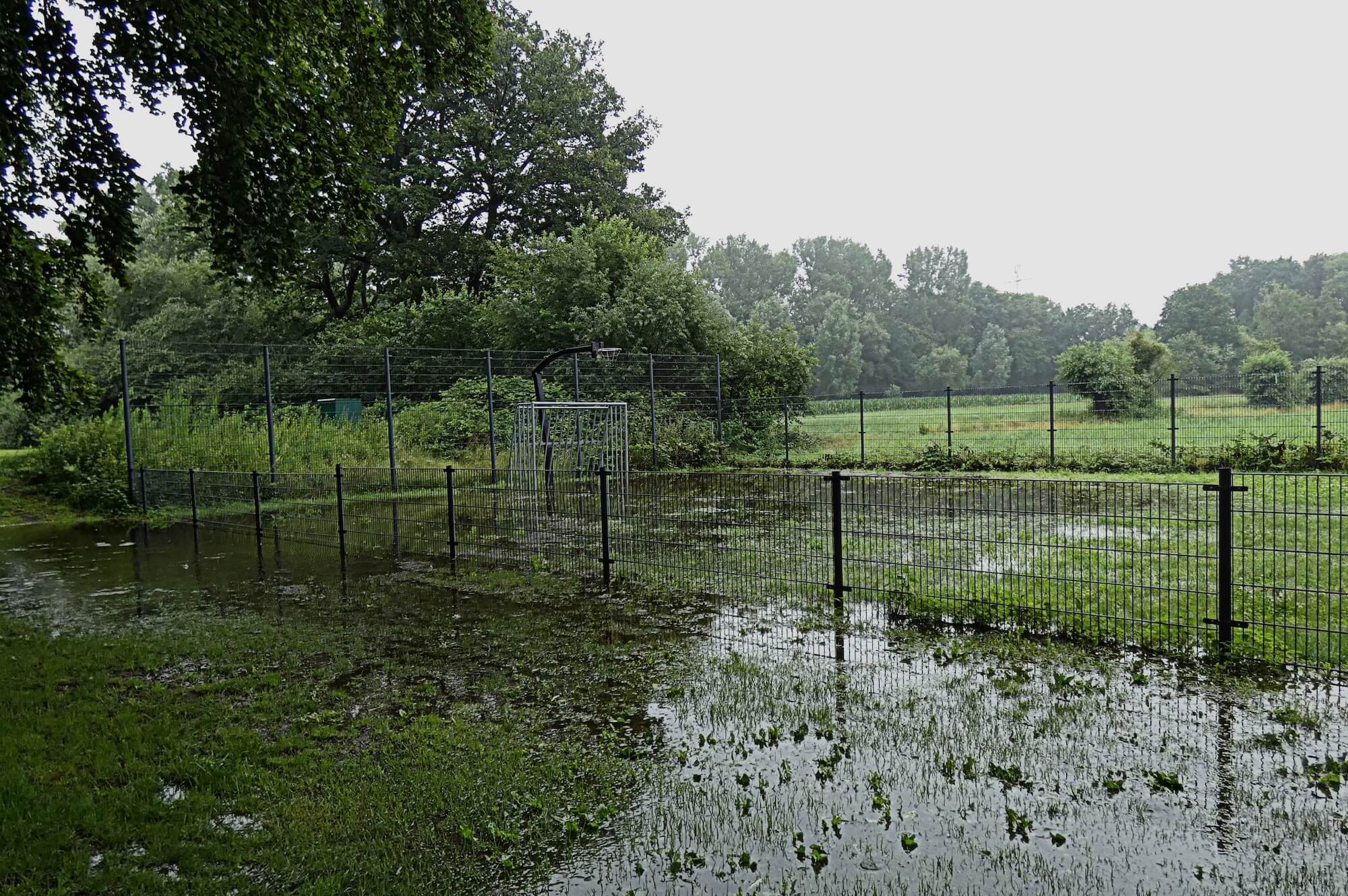 ria gerards_veel regen