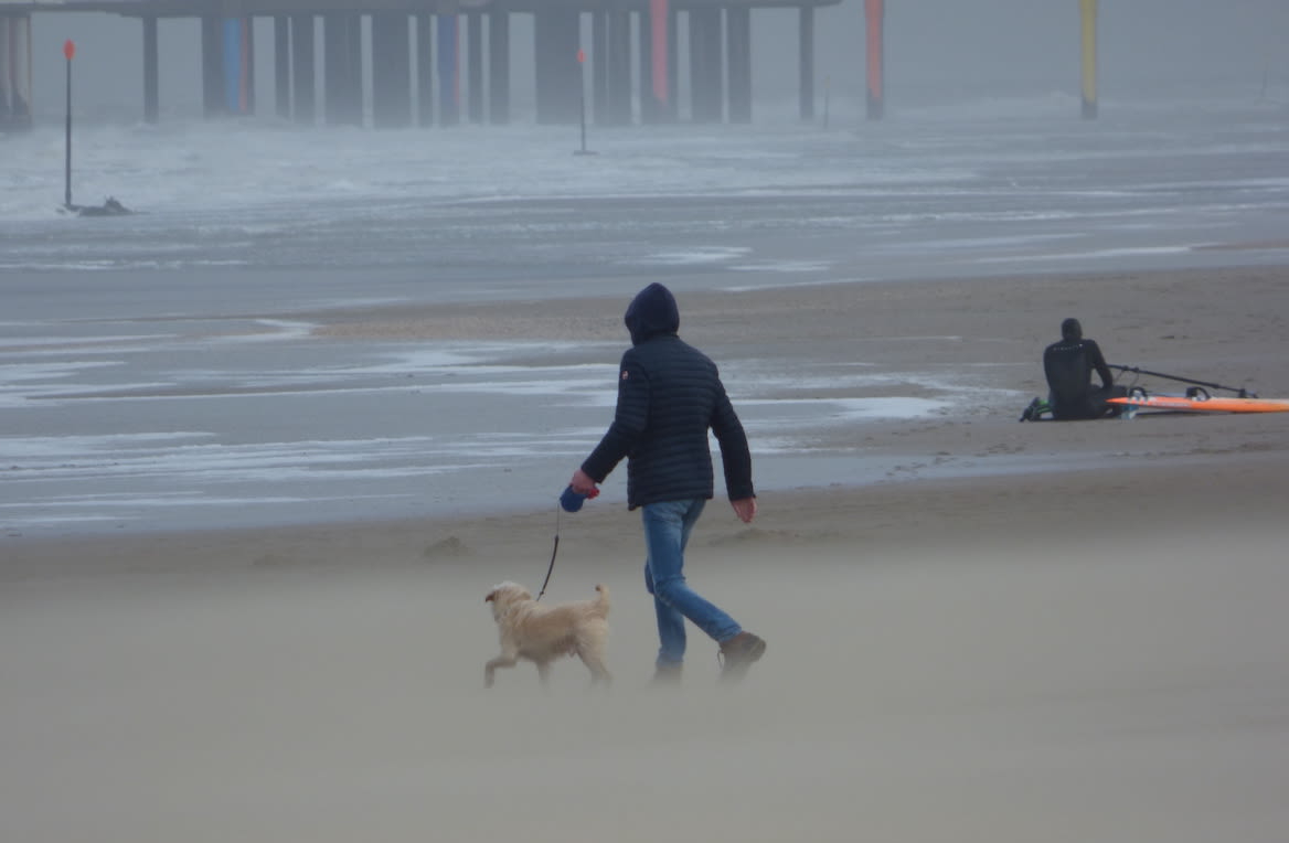 uitwaaien-hond-kitesurfen