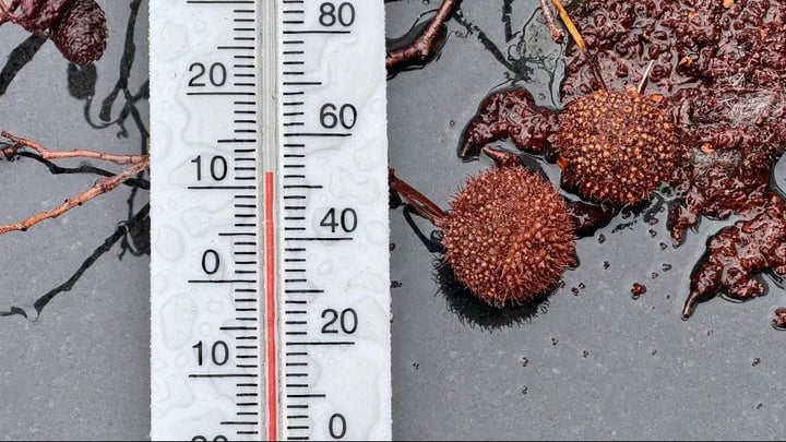 Thermometer winter 2024